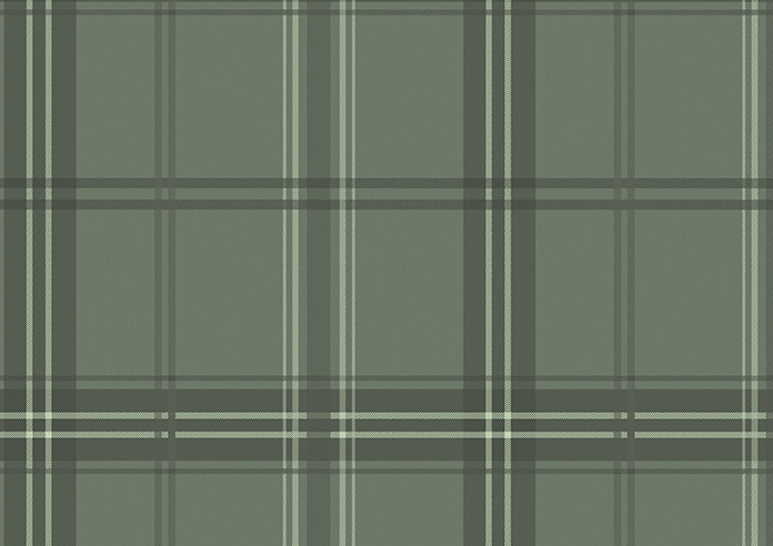 Falkirk, Green Heath - Roller Blind - Image 6